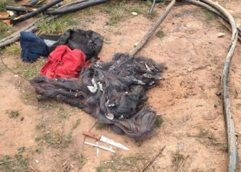 Dois suspeito foram detidos pela Guarda Civil por furtar fios em São Cristóvão