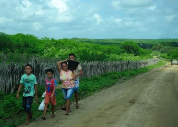 Acompanhamento de famílias para fomento rural é regulamentado