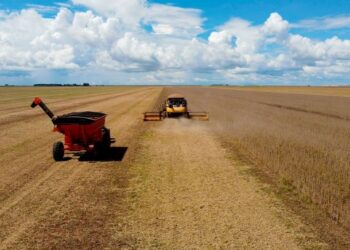 Os reflexos do agronegócio no desenvolvimento do Oeste da Bahia