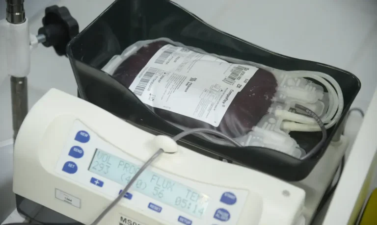 sangue