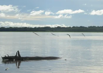 Seca: governo paga auxílio para pescadores da Região Norte