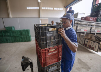 Sedap realiza nova compra de produtos da agricultura familiar pelo PAA