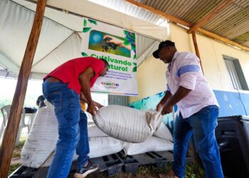 Sedap entrega sementes e insumos a 600 agricultores