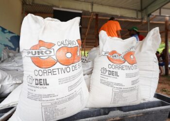 Sedap entregará insumos para produtores de Barra do Pojuca