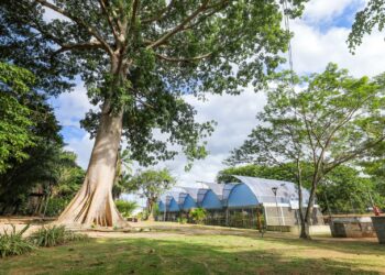 Horto de Camaçari será aberto no próximo sábado