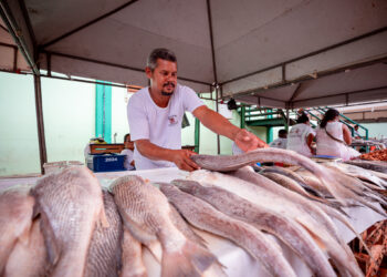 Da aparência à textura: nutricionista explica como escolher o peixe para o almoço da Semana Santa