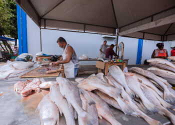 Camaçari: tradicional Feira do Peixe tem início nesta terça (26)