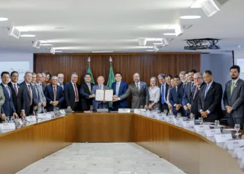 Setor elétrico: MP permite que consumidor escolha o fornecedor