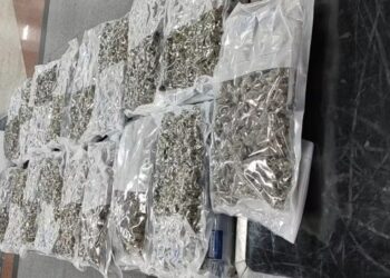 Droga conhecida como ‘supermaconha’ é apreendida no Aeroporto de Salvador