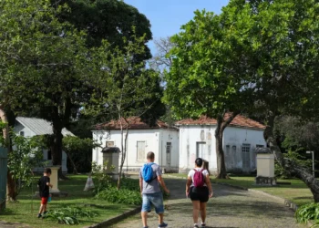 Programação no Mast lembra os 100 anos de visita de Eisntein ao Brasil