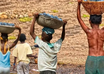 Mais de 6 mil crianças são resgatadas do trabalho infantil em 2 anos