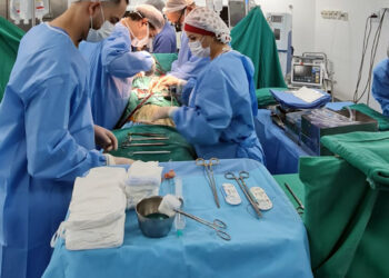 Bahia sedia Congresso Nordeste de Transplantes, reunindo profissionais e dirigentes de saúde