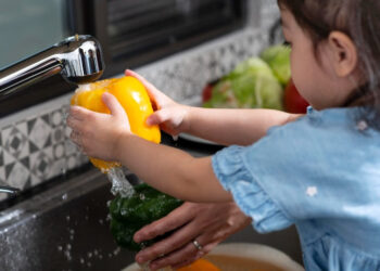 Segurança dos alimentos: saiba como cuidar das refeições e prevenir de doenças