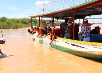 Tecnologia de reprodução de peixes fomenta cadeia da piscicultura e repovoamento da bacia do São Francisco na Bahia