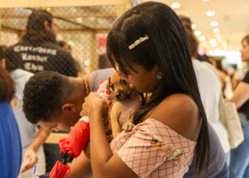 Campanha de adoção de animais une protetores e futuros tutores em Feira de Santana