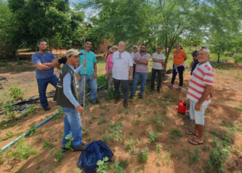Agricultores familiares do norte baiano recebem capacitação em avicultura