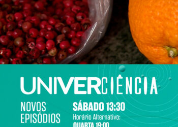Serra de Itabaiana, óleos naturais contra a dengue, palma forrageira e cervejas artesanais no Univerciência deste sábado na TVE