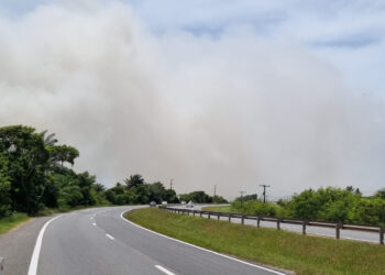 BA-099 passa por serviços de manutenção até sábado (29)