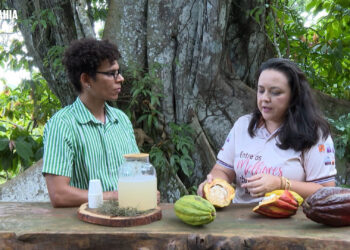 Chocolate, Circo Picolino e Exposição Dona Fulô e outras Joias Negras no Bem Bahia da TVE