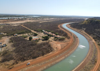 Diversificação e ampliação da área irrigada no Projeto Baixio do Irecê injetam R$ 9,4 milhões na economia do vale São Franciscano da Bahia