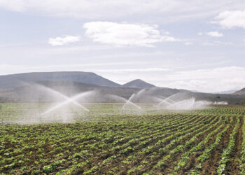 Projetos de irrigação no Oeste Baiano alcançam R$ 633 milhões em valor bruto de produção