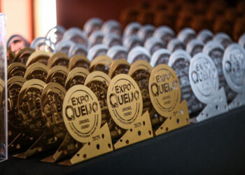 Bahia é premiada na ExpoQueijo Brasil 2025 e celebra presença no maior evento do setor
