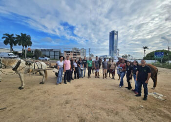 Lei que regulamenta carroças em Feira de Santana promove bem-estar animal e inclusão social
