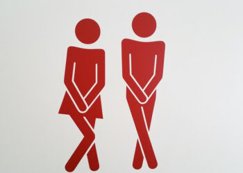 Saúde íntima: confira cuidados ao usar banheiro químico no Carnaval