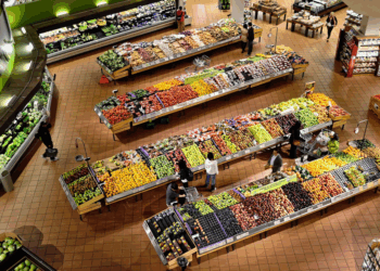 Mercado Vegano: crescimento e oportunidades no Brasil e no mundo