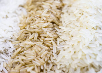 Queda no preço do arroz acende alerta no setor e pode impactar próxima safra