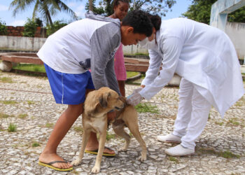Campanha de vacinação antirrábica chega a mais cinco bairros de Lauro de Freitas neste sábado (31); confira