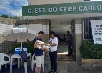 Saúde de Salvador oferta vacina antirrábica neste fim de semana