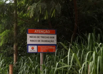 Ex-presidente da Vale sabia dos riscos e nada fez, diz delegado