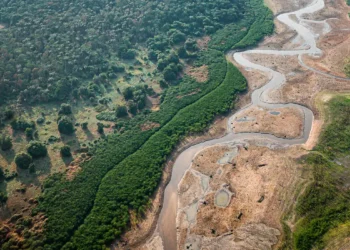 Turismo e crise climática: os caminhos sustentáveis para a Amazônia