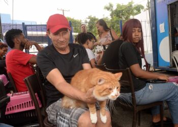 Castramóvel inicia atendimentos no Resgate com castrações gratuitas para cães e gatos