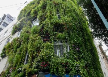 Parede verde da Secis recebe 1,5 mil mudas de flores para celebrar a primavera