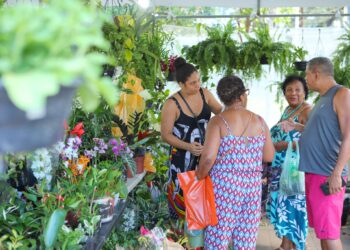 Feira das Artes da Primavera movimenta Campo Grande com mais de 400 artesãos