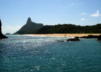 Ilhas brasileiras: estudo revela presença de espécies exclusivas