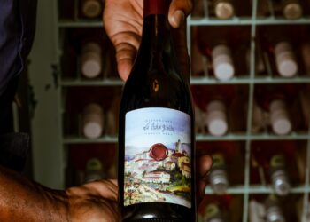 La Pasta Gialla lança linha exclusiva de vinhos italianos da Puglia