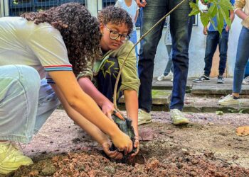 Estudantes participam da V Conferência Estadual Infantojuvenil pelo Meio Ambiente, em Salvador