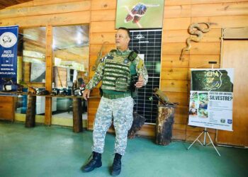 GCM retira jiboia de árvore no Cabula e totaliza quase 5 mil resgates de animais silvestres em 2025