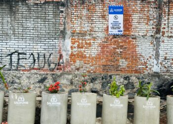 Caminho de Areia ganha novo ponto verde na Rua Jardim Alvalice