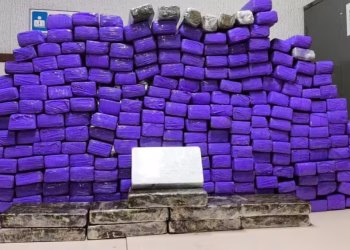 Homem é preso com quase 300 tabletes de drogas em van de turismo