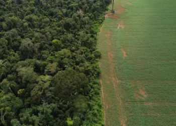 Brasil apresenta soluções de financiamento climático em Nova York