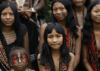 Nova lei integra dados para desenvolvimento integral da 1ª infância