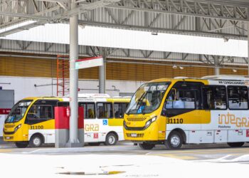 Nova linha de ônibus com saída do Terminal Campinas leva mais mobilidade a moradores do Dique do Cabrito