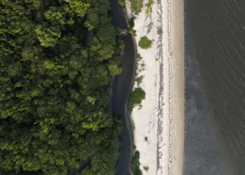 “Não existe Planeta B”, alerta astrofísico às vésperas da COP30