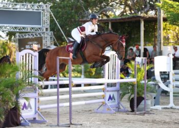 Conheça os benefícios da equitação para adultos e crianças