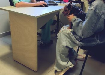 Novembro Azul: mês de prevenção e cuidados com humanos e animais