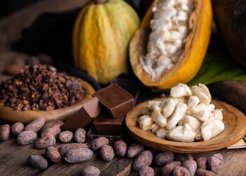 Cozinha Show, Vila do Chocolate e pratos promocionais: saiba o que vai rolar no Festival Sabores de Itacaré